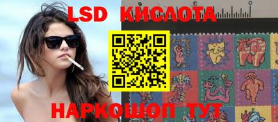 стаф Донской