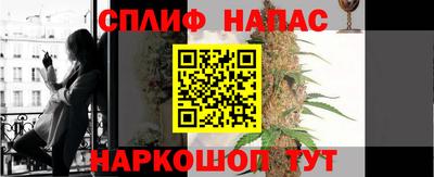 стаф Донецк