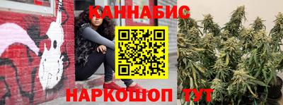 стаф Донецк